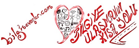 bilgisevenler.com