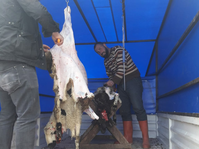 KARATAY; selçuklu adak akika kurban, karatay adak akika kurban, meram adak akika kurban