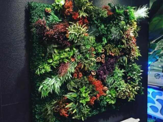 DECOTTA Konya Dikey Bahçe, yosun duvar, dikey bitkilendirme uygulamaları, duvar peyzaj, yapay dikey bahçe