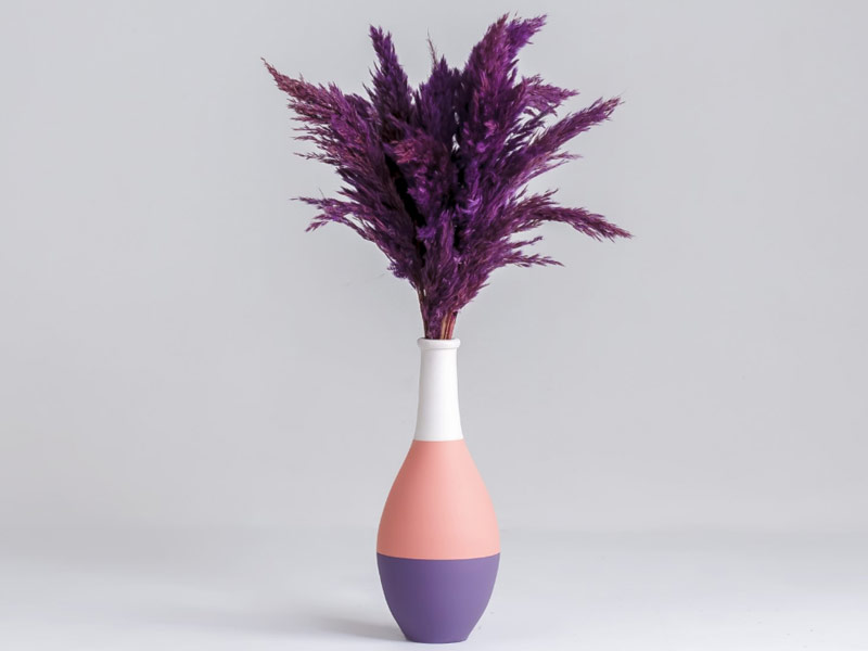 DE-COTTA Pampas Çiçeği Pampas Vazo Renkli Pampas